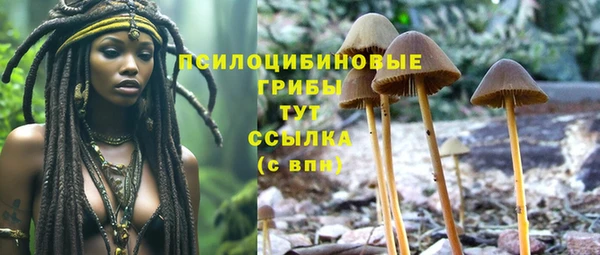 a pvp Абаза